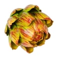 thumbnail image 2 of Artificial Artichoke Decor, Faux Vegetable Ornament, Realistic Kitchen Accent, Displays Layered Gradient Petals and Keeps Shape Year Round for Kitchen Table, Floral Arrangement, and Store Display., 2 of 6