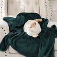 thumbnail image 5 of IR Imperial Rooms Adult Fleece Bed Blanket 310 GSM Microfiber Lightweight Warm Fluffy Cozy Plush Emerald Green Queen Size, 5 of 14