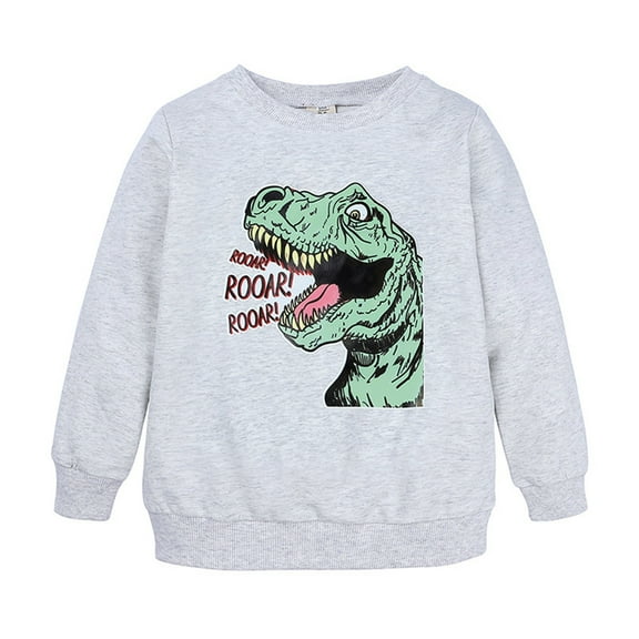 JIKNTTR Toddler Boys Sweatshirts Kids Hoodies Pullover Cartoon Dinosaur Printed Long Sleeve Sweatshirt Hoodie For Boys Hooded Pullover Sweatshirt