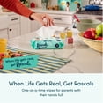 thumbnail image 3 of Rascals Premium Sensitive Alcohol Free Baby Wipes, Single Pack, 72 Count, 3 of 11