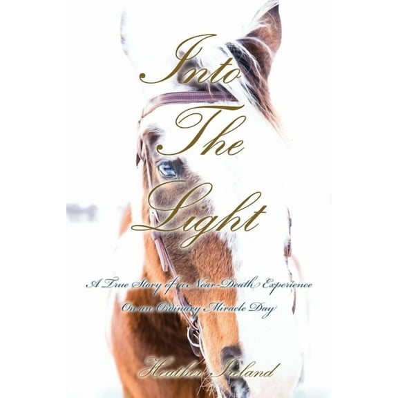 Into The Light: A True Story of a Near-Death Experience on An Ordinary Miracle Day, (Paperback)