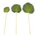 thumbnail image 1 of 3 Piezas Hojas de Palma Artificiales Manojo Plantas Falsas PláStico Verde SimulacióN Arreglo Flores DecoracióN del Hogar, 1 of 10