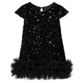 thumbnail image 1 of felwors Robe à Paillettes pour Tout-Petites Filles, Ligne A, Scintillante, Sans Manches, Robe de Mariée, Robes de Fête pour Filles, 1 of 7