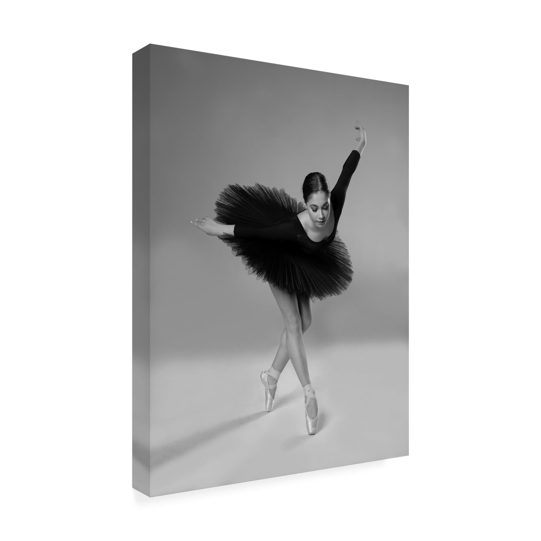 Trademark Fine Art Aneta Nikolova  A swan Canvas Wall Art