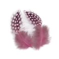 thumbnail image 2 of 50 Piezas Hermosos Teñidos de s de de de Pollo Decoración Artesanal Rosado Baoblaze Plumas de gallo faisán, 2 of 8