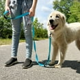 thumbnail image 4 of zalens Dog Leash Double Handle 4ft Long, Padded Traffic Handle and Reflective, Skyblue, 4 of 6