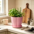 thumbnail image 5 of romoty Flower Petal Shaped Plastic Plant Pot with Saucer Pink, 6.3 in Lightweight Decorative Succulent Planter with Drainage Hole for Indoor Outdoor Desk Garden Decor, 5 of 6