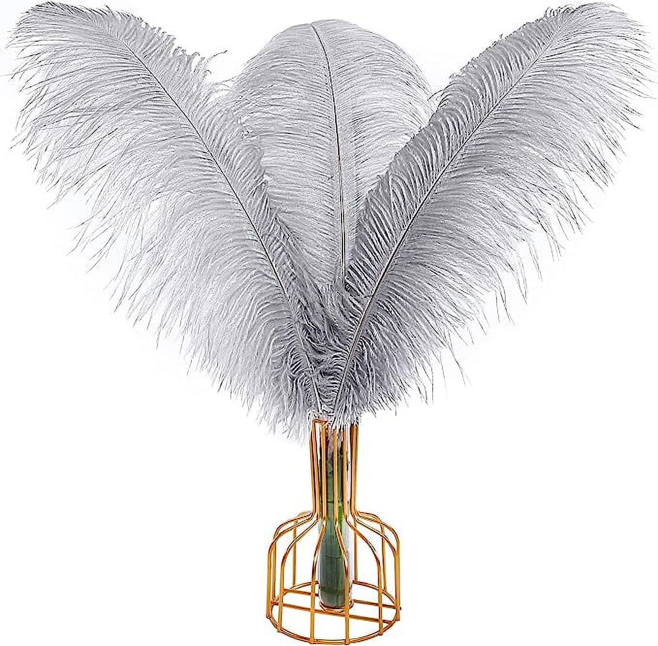 Nvzi Gray Ostrich Feathers 12pcs Large Natural Bulk 12-14Inch 30cm-35cm for Wedding Party Centerpieces Easter Gatsby and Home Decoration Feathers
