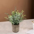 thumbnail image 3 of GROWTH TANK Mini Potted Plants Gray Pulp Pot Small Plastic Greenery Bonsai Artificial Potted Small Eucalyptus, 3 of 9