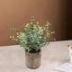 thumbnail image 3 of Mini plantas de plástico artificial, flor de hierba fresca inconfundible en maceta gris para decoración para hogar , Pequeño eucalitto Pequeño Soledad plantas en macetas falsas, 3 of 9