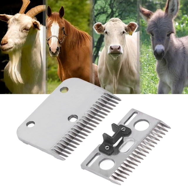 Housas de Las Cortadoras de Caballos, Resistencia a la Abrasión Larga Vida Útil 21 Dientes de Alta Eficiencia Carburo 2 PCS Ravers de Cañadoras de Caballos Reemplazo de Perros