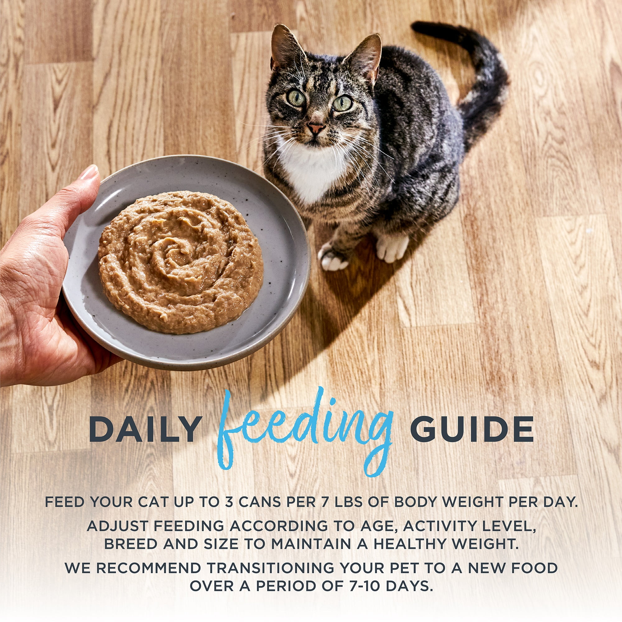 Reveal Pet Food, Tuna Fillet with Mackerel Recipe Entree Pate, 24ct of 2.47 oz cans