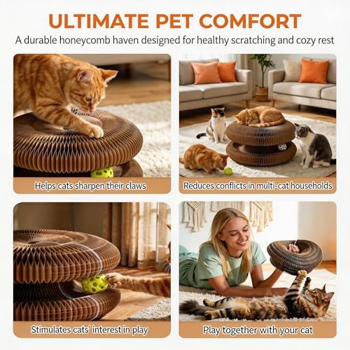 Twisty Paws Cat Toy - Magic Organ Kitty Curl Scratcher with Bell-Ball, Magnetic & Foldable Cardboard Shape Shifting, Interactive Accordion Kurlz Board for Indoor Cats