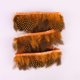 thumbnail image 4 of Wdftyju Marco de fotos de plumas de bricolaje para arte de pared de cuadro de pintura de diamante (pelo de perla) Wdftyju 7dj0fc3bx3ah3gl8D04, 4 of 8