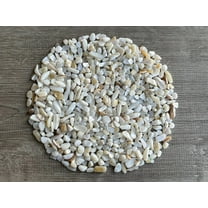 GAF TREASURES WHOLESALE Natural Semi Tumbled Mother of Pearl Gemstone Chips ( 2 oz / 0.125 lb )