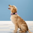 thumbnail image 2 of Reflective Dog Collar, Adjustable Soft Neoprene Padded Nylon Pet Collars with Buckle for Small Dogs, Navy Blue,S, 2 of 6