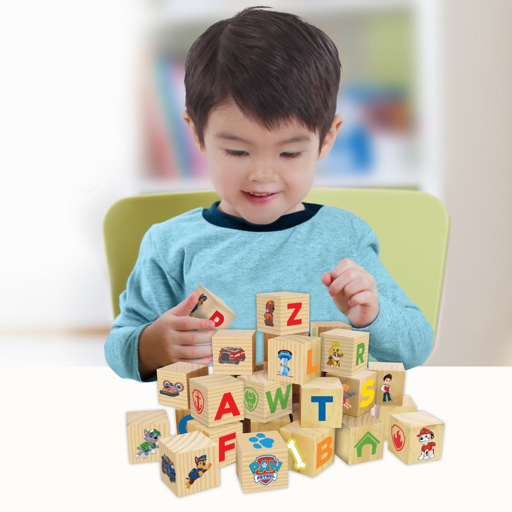 paw patrol alphabet and puzzle blocks