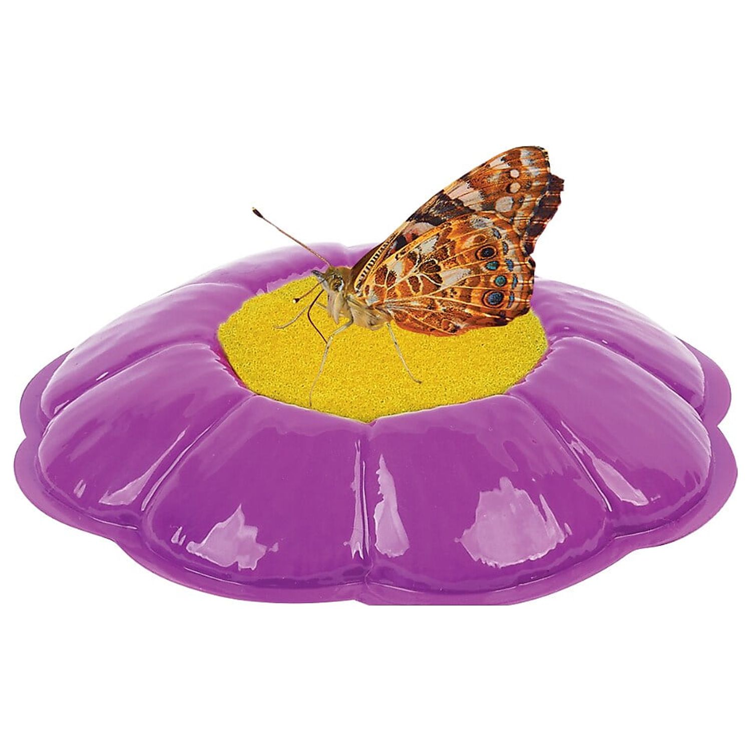 Insect Lore Butterfly Garden® Growing Kit- With Voucher to Redeem Caterpillars Later - image 3 of 6