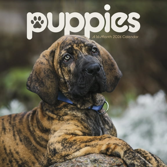 Trends International 2026 Puppies Wall Calendar