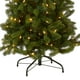 thumbnail image 3 of Árbol de Navidad de National Tree Company, 6.5 pies, con luces LED, 3 of 6