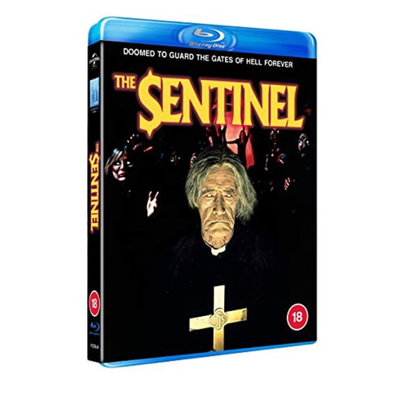 The Sentinel [DVD]