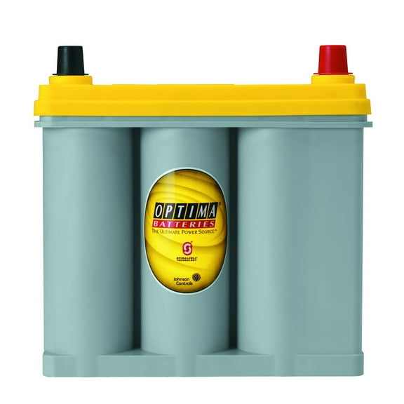 ONLINE Dual Purpose 12 Volt Automotive Battery, 450 CCA