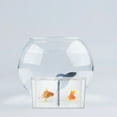 thumbnail image 3 of Acrylic Fish Breeding Cage with Oxygen-increasing Design for Betta Guppies and Egg Cup 1 Pack, 3 of 8