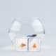thumbnail image 1 of BALAHAPY Caja De Aislamiento Para Peces Con Material Duradero Y Clara Para Observación Continua, 1 of 7