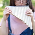 thumbnail image 4 of MasteelfCA Panpipes Musical Instrument 16 Pipe Flute Beginner Playing Pan Flute C Key Pan Flute, 4 of 8