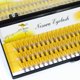 thumbnail image 1 of Fans Extensiones de pestañas 10D XL Box 60 Fans Base puntiaguda Premade Lash Extensions Fans Premade Volume Extensiones de pestañas Premade Tan Jianjun unisex, 1 of 1