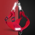 thumbnail image 3 of Flmtop Dog Safety Vest Harness Adjustable Reflective Seat Belt Pet Rope Connector Strap Red, 3 of 8