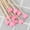 Pink, variant on 100 Pcs Rock Candy Sticks Wood Swizzle Sticks Wood Cake Pop Sticks Drink Stirrer Sticks for Lollipop Coffee Appetizer Skewer 6inch
