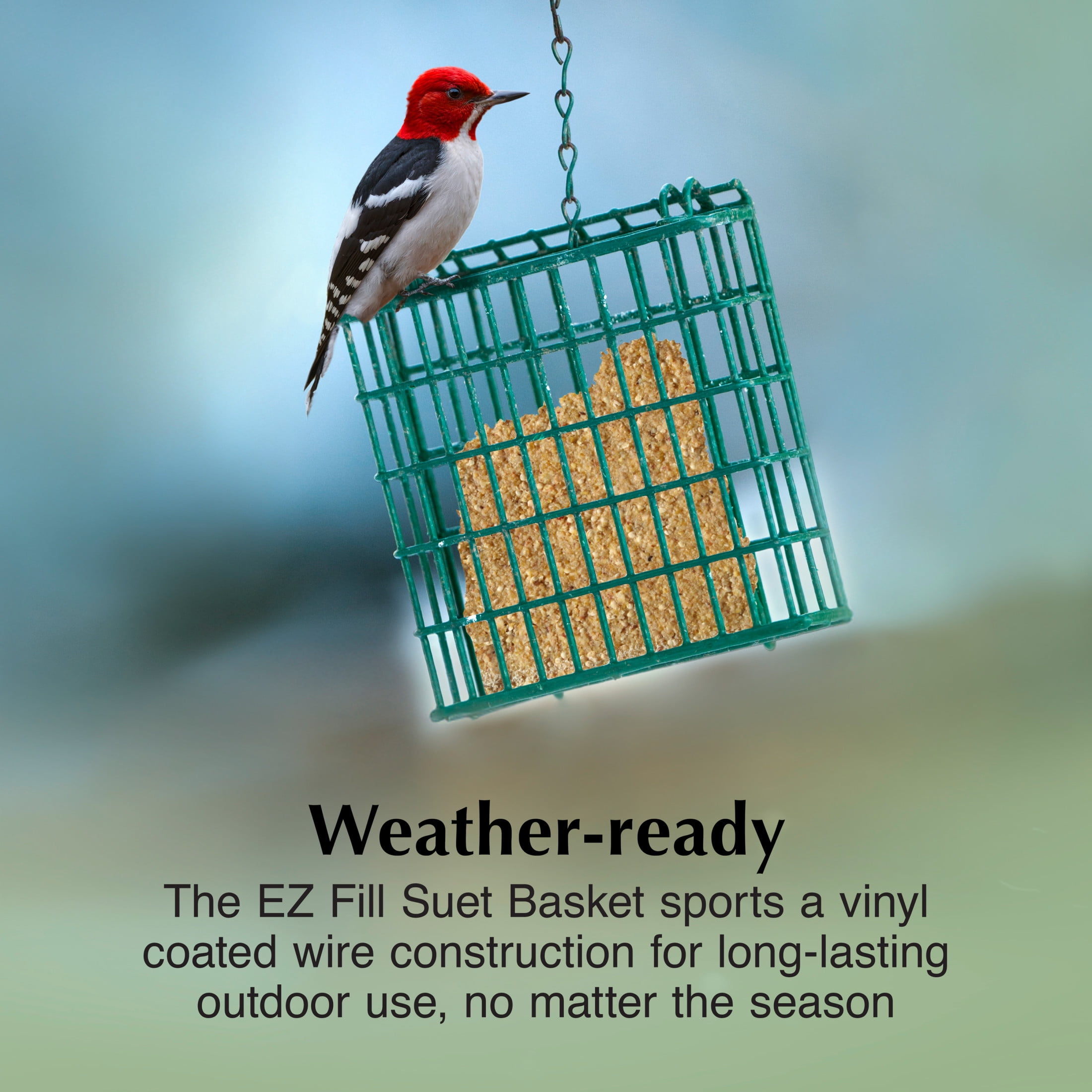 (2 pack) C&S EZ Fill Suet Basket, for Wild Bird Suet Cakes, 2" x 5.25" x 5.25"
