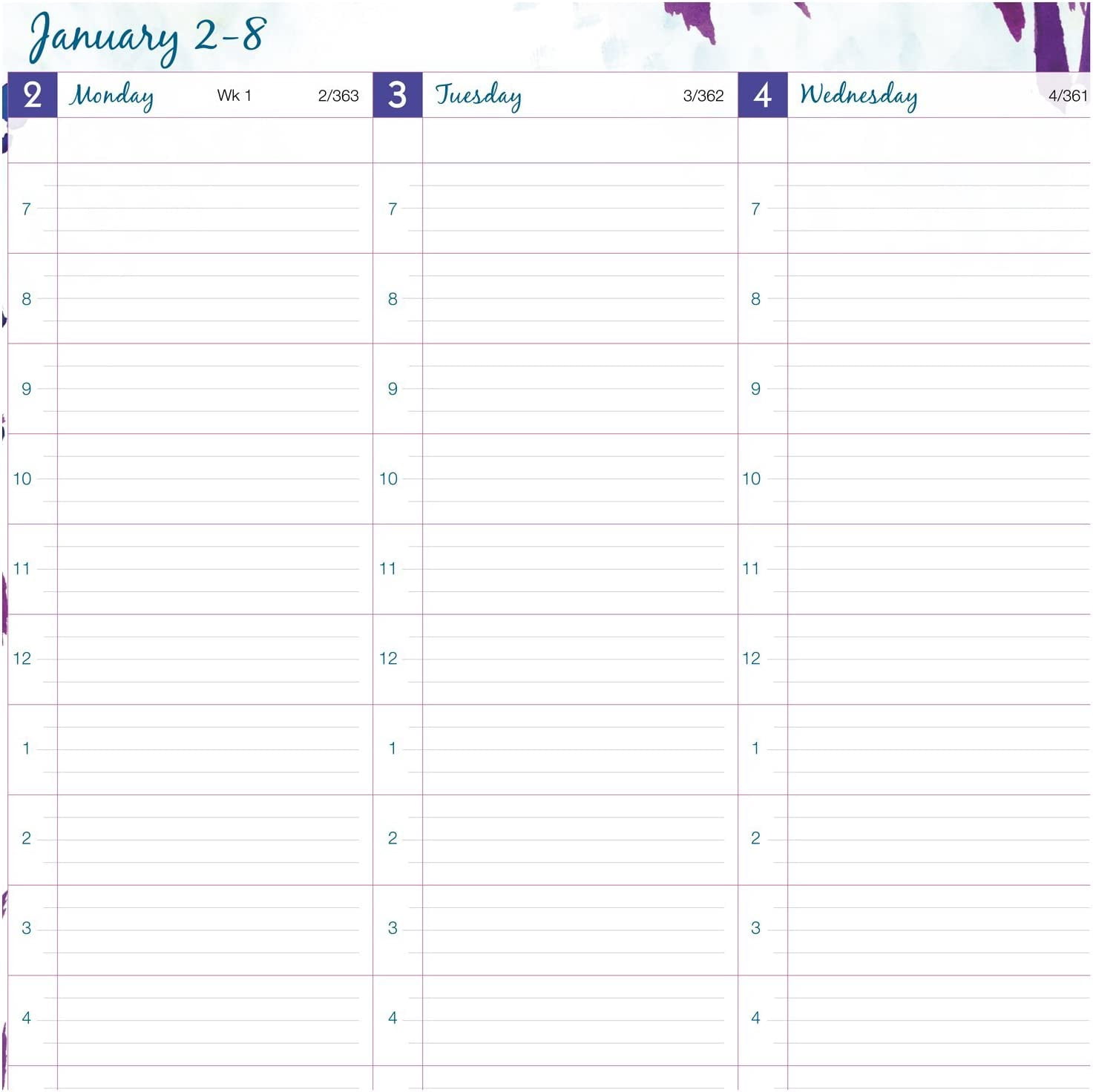 AT-A-GLANCE Weekly / Monthly Planner / Appointment Book 2017, 8-1/2 x 11", Professional, Wild Washes (523-905) Large 2017