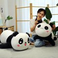 thumbnail image 4 of Bonita almohada de cuello de panda de anime para niños, juguete de peluche de anime Aquishies de espuma viscoelástica PP, 60 cm, 4 of 5
