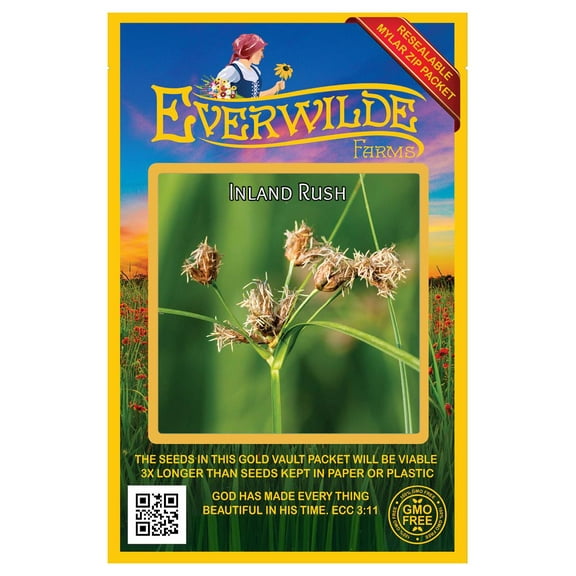 Everwilde Farms - 2000 Inland Rush Native Grass Seeds - Gold Vault Seed Packet