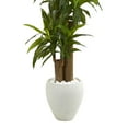 thumbnail image 3 of Nearly Natural Plastic Green 64" Corn Stalk Dracaena Artificial Plant in White Planter, 3 of 5