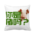 thumbnail image 1 of Pigs Equivalent Human Beings. Throw Pillow Sleeping Sofa Cushion Cover, 1 of 3