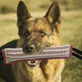 thumbnail image 3 of （red vertical stripes）Bite Pudding Dog Toy,Bite Pudding,Dog Puddings,Jute Dog Biting Toy,Dog Training Pudding,Interactive Toys for Medium to Large Dogs, Ideal for Tug of War, 3 of 5