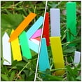 thumbnail image 6 of FONWILYO 200Pcs Reusable Garden Label Markers Rectangular For Garden Plants, 6 of 8
