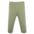 thumbnail image 6 of Hudson Baby Boy Cotton Pants and Leggings, Brown Sage Dinosaurs, 0-3 Months, 6 of 6