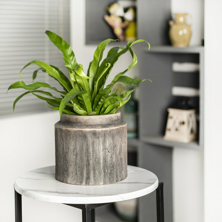 Better Homes & Gardens 8