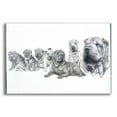 thumbnail image 1 of Epic Art 'Growing Up Shar Pei' by Barbara Keith, Acrylic Glass Wall Art, 16"x12", 1 of 8