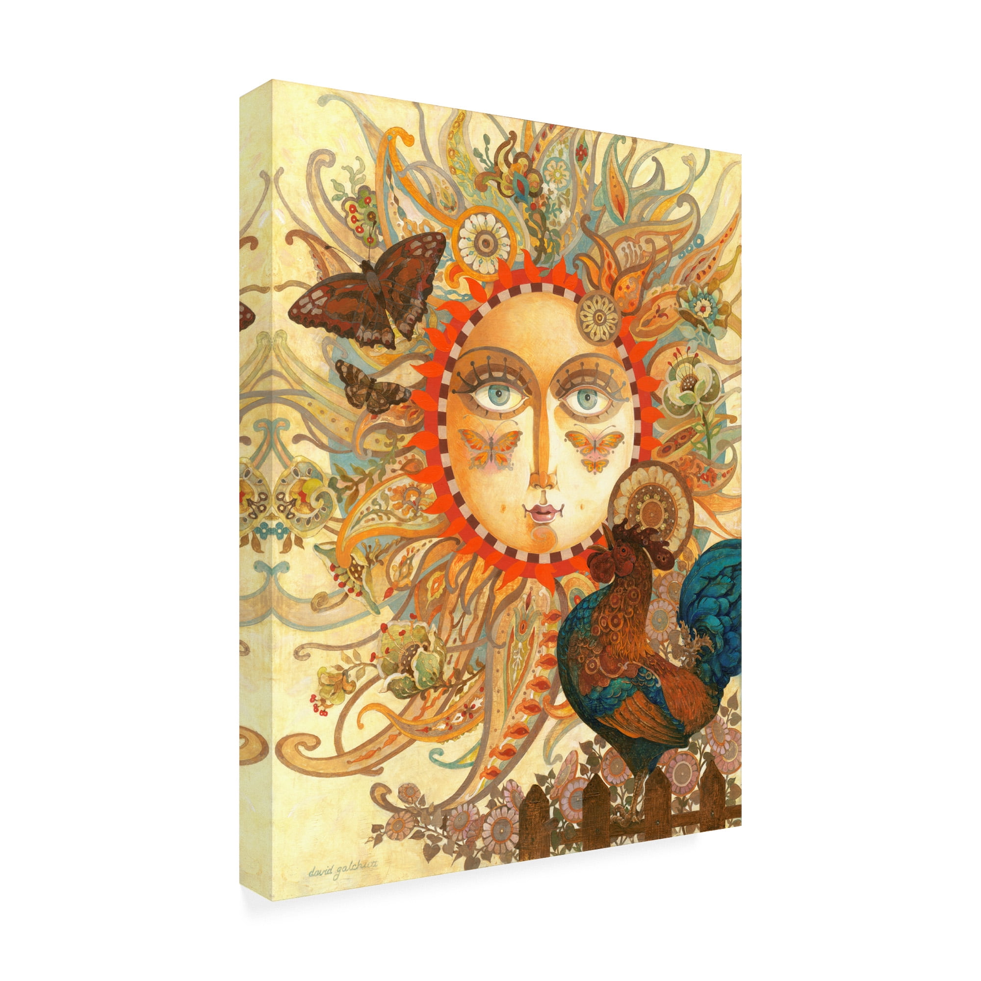 Trademark Fine Art 'The Funkadelic Dawn' Canvas Art by David Galchutt