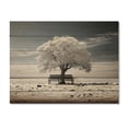 thumbnail image 3 of Designart "Grey White Tree Contemplation" Floral Print on Natural Pine Wood, 3 of 5
