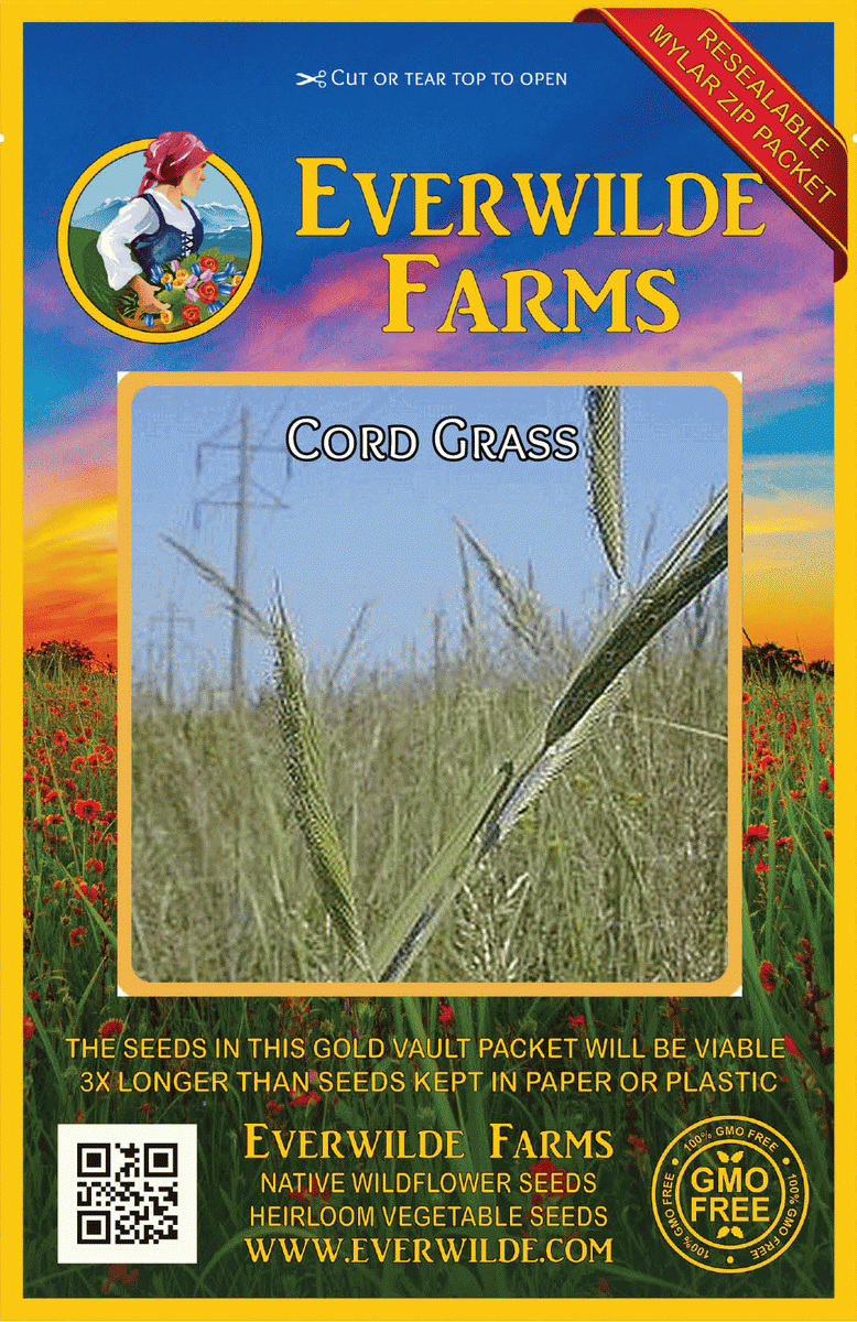 Everwilde Farms - 1 lb Cord Grass Native Grass Seeds - Gold Vault Bulk Seed Packet