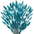 thumbnail image 7 of Uxcell 120-Pack Bunny Tails Grass 17 Inch Fluffy Rabbit Tail Grass Dried Flowers for Home/Wedding [Blue Green], 7 of 7