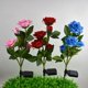 thumbnail image 4 of Luces De Jardín De Flores De Rosas Vibrantes Columpio De Ahorro De Energía Decoración De Paisaje Vívido Luz LED Solar para Césped De Jardín Al Aire Libre para Uso Doméstico-Rosa, 4 of 5
