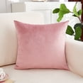thumbnail image 2 of Dvumao 17.7x17.7 Inch Velvet Throw Pillow for Living Room, Decorative Cushion for Sofa and Bed, Includes Insert, 2 of 7