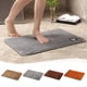 thumbnail image 1 of Alfombra Absorbente Antideslizante para Interior y Exterior, 40 X 60 Cm, Impermeable, Lavable, para Baño, Cocina, Salón, Entrada, Color Café, 40 X 60 Cm, 1 of 7